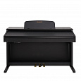 ROCKDALE Fantasia 128 Graded Black