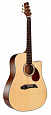 NG DM411SC NA
