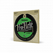 D`ADDARIO EJ25B