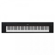Yamaha Piaggero NP-35B