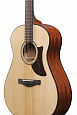 IBANEZ AAM100E-NT