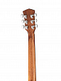 Parkwood S22M-NS