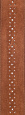 PLANET WAVES 25PRF04
