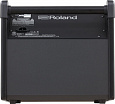 ROLAND PM-100