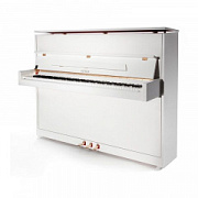 Petrof P 118S1(0001)