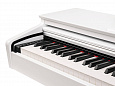 MEDELI DP260-GW