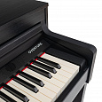 ROCKDALE Overture Black