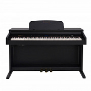 ROCKDALE Fantasia 128 Graded Black