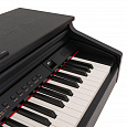 ROCKDALE Fantasia 128 Graded Black