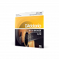 D`ADDARIO EJ14