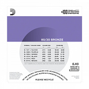 D`ADDARIO EJ13