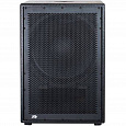 PEAVEY PVs 15 SUB 1000W