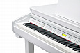 KURZWEIL KAG100 WHP