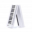 Donner DP-06