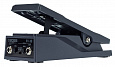 Boss EV-30