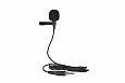 XLine MD-CLIP