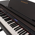 ROCKDALE Fantasia 128 Graded Rosewood