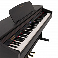 ROCKDALE Fantasia 128 Graded Rosewood
