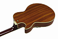 IBANEZ AG95K-NT