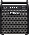ROLAND PM-100