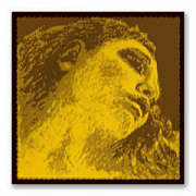Pirastro 415091 Evah Gold Violin