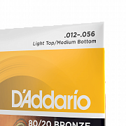 D`ADDARIO EJ14