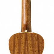 CORDOBA 15 CM