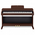 CASIO AP-270BNC2, без адаптера