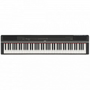 YAMAHA P-125aB