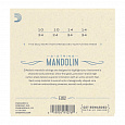D`ADDARIO EJ62