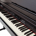 ROCKDALE Overture Black