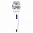 PEAVEY PVi 2W 1/4