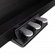 ROCKDALE Sonata Black
