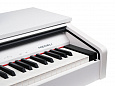 MEDELI DP250RB-GW