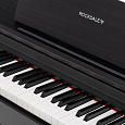 ROCKDALE Sonata Black
