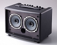 ROLAND AC-33