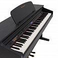 ROCKDALE Fantasia 128 Graded Black
