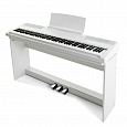 Emotive Hammerpiano 1 sW