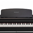ROCKDALE Sonata Black