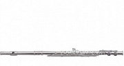 ROY BENSON FL-602RІ