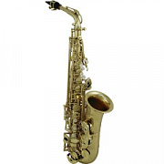 ROY BENSON AS-302 Eb