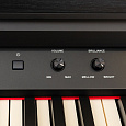 ROCKDALE Overture Black