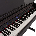ROCKDALE Fantasia 128 Graded Rosewood