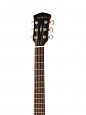 Parkwood S26-GT