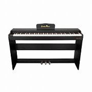 EMILY PIANO D-51 BK