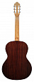 Kremona F65C Cedar Fiesta Soloist Series