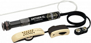 LR BAGGS Anthem SL C