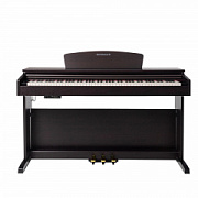 ROCKDALE Etude 128 Graded Rosewood