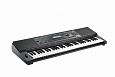 Kurzweil KP110