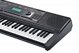 Kurzweil KP100 LB